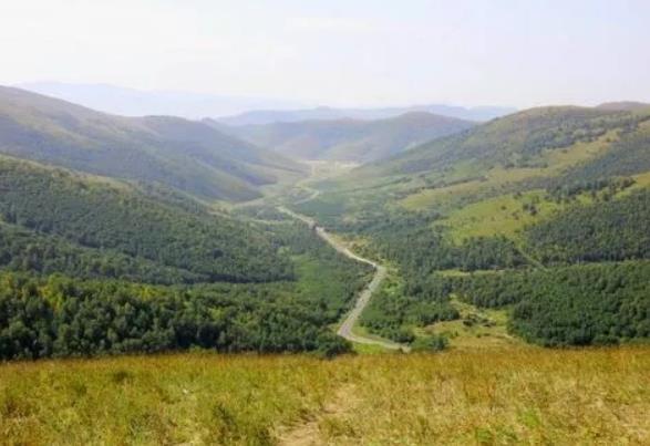 國家森林公園被“毀容”，誰在選擇性“失明”？