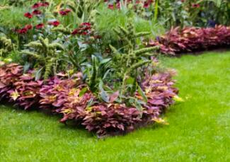 園林景觀設(shè)計(jì)，要注意什么事項(xiàng)呢？